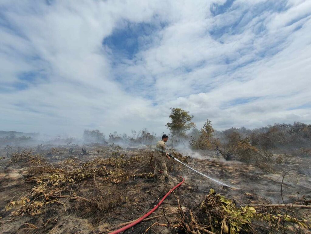 Bombeiros combatem fumaça após incêndio no Parque Paulo César Vinha, em Guarapari