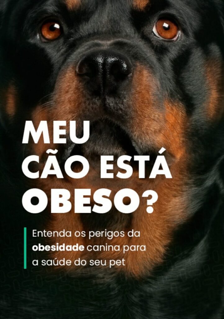 Veterinário de Guarapari transforma dúvidas de consultório em livro sobre obesidade dos cães
