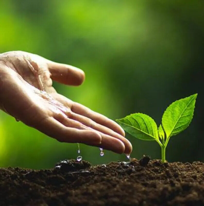 Alphaville apoia evento de sustentabilidade com doação de mudas para a cidade de Guarapari