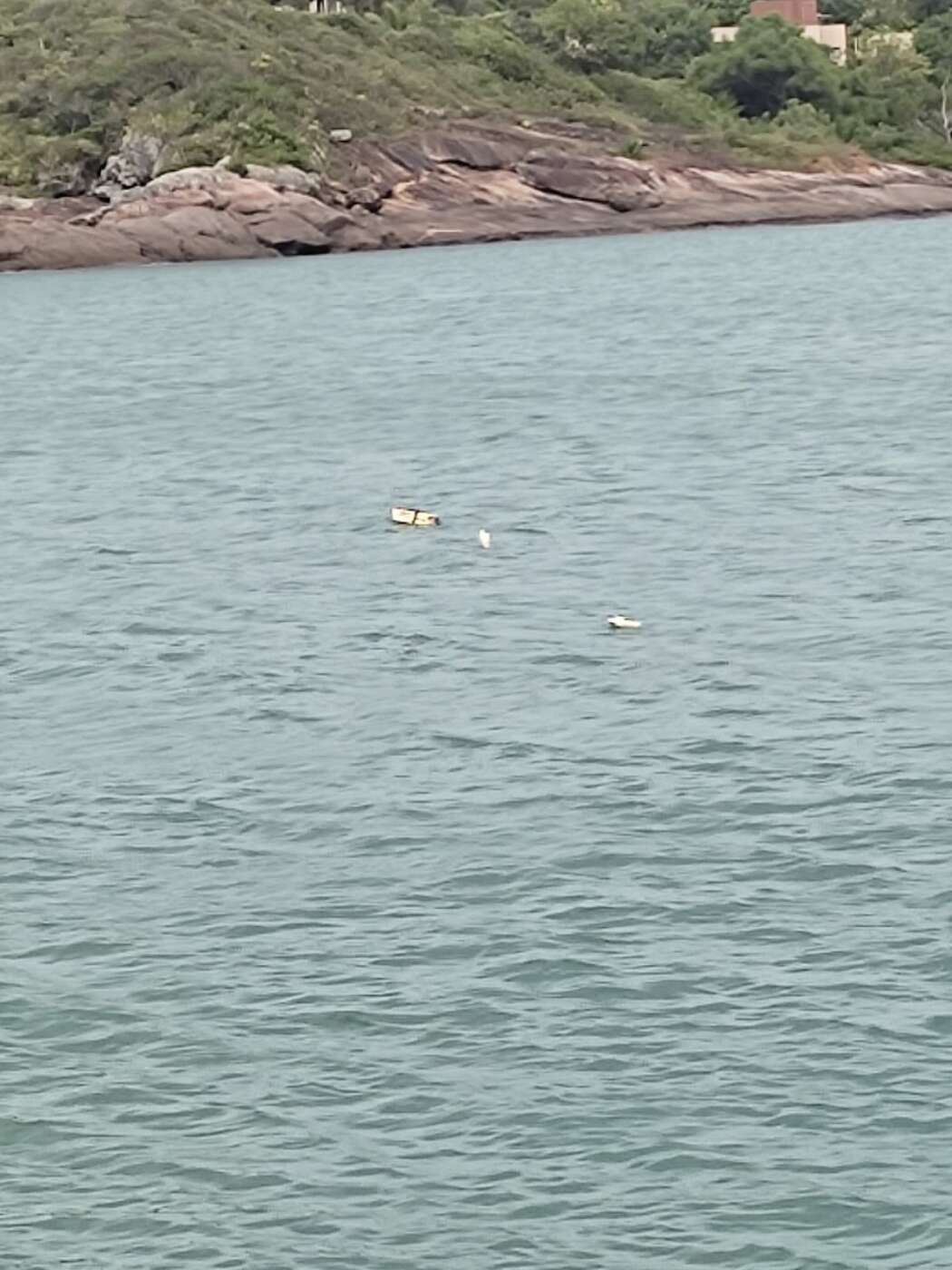 Moradores flagram uso de rede para pesca ilegal em praia de Guarapari