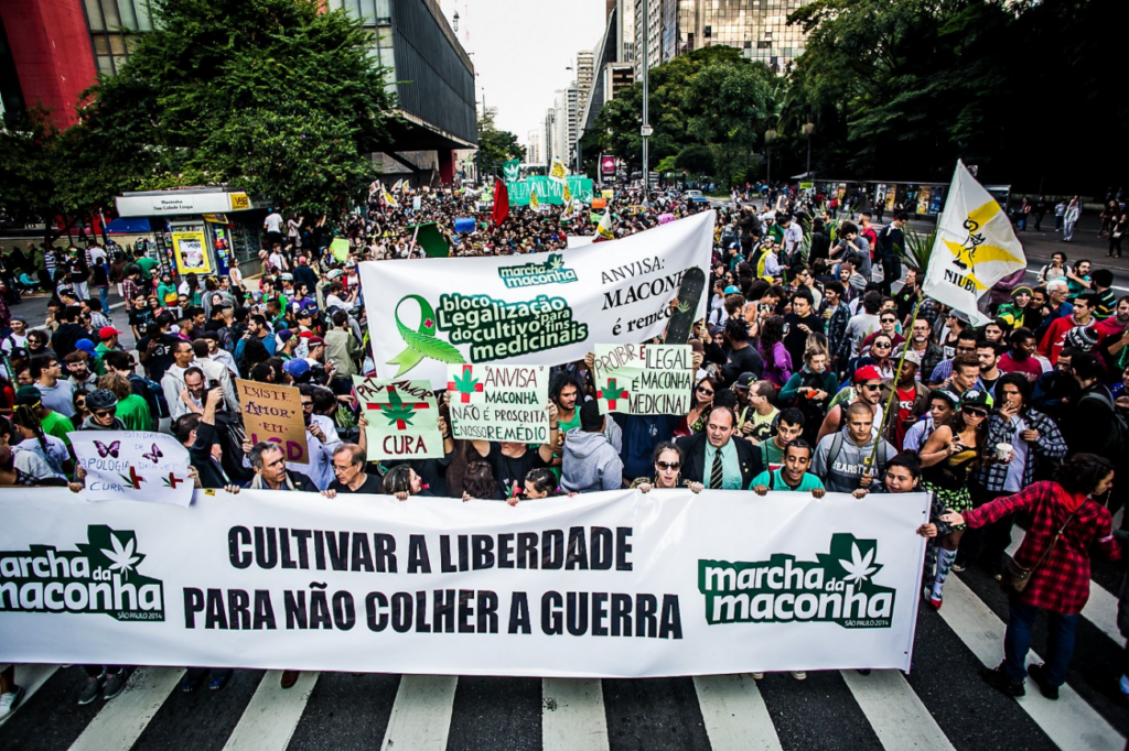 Coluna Entenda Direito: Cannabis medicinal no Brasil: quem pode ser paciente?