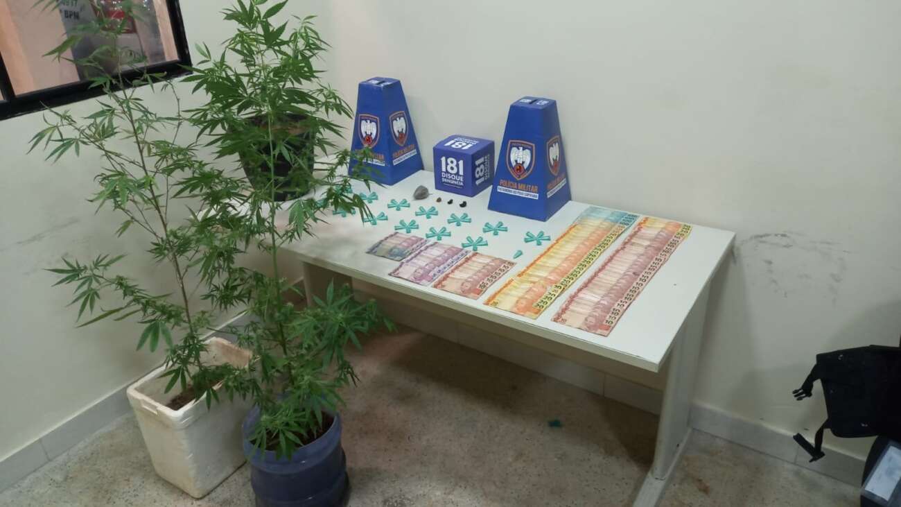 PM apreende pés de maconha em duas residências de Guarapari