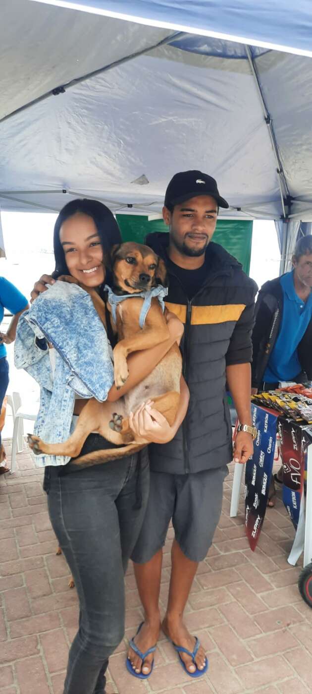Dez animais são adotados na 4ª edição da feira de animais em Guarapari