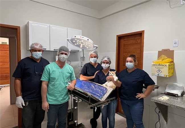 Centro de Zoonoses de Alfredo Chaves oferece castração gratuita para cães e gatos