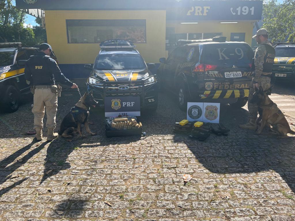 Ação da PRF encontra drogas dentro de bagageiros de ônibus em Guarapari