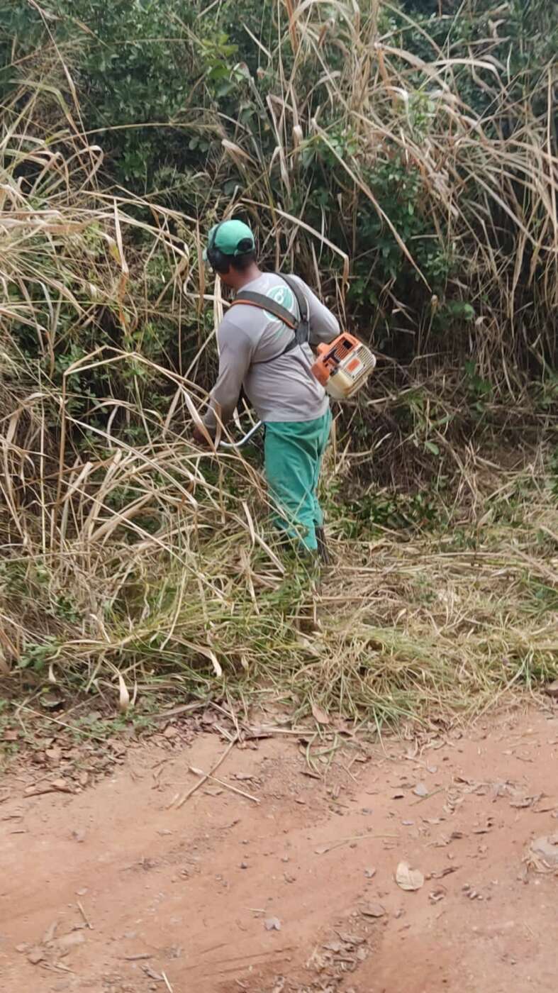 Corte em vegetação nativa revolta moradores de Guaibura, em Guarapari
