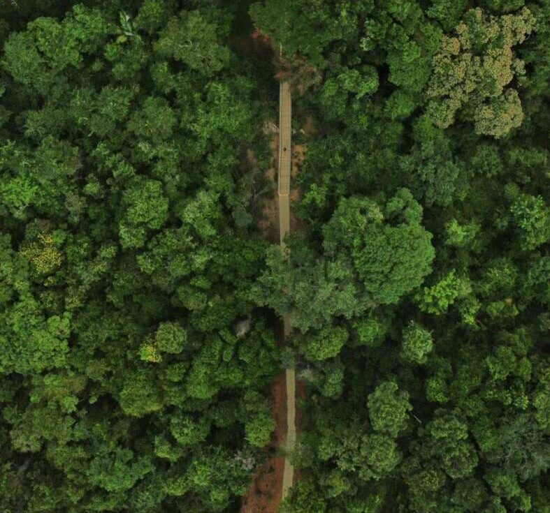 Trilha ecológica com mais de 1 km garante novo trajeto de acesso às Três Praias, em Guarapari