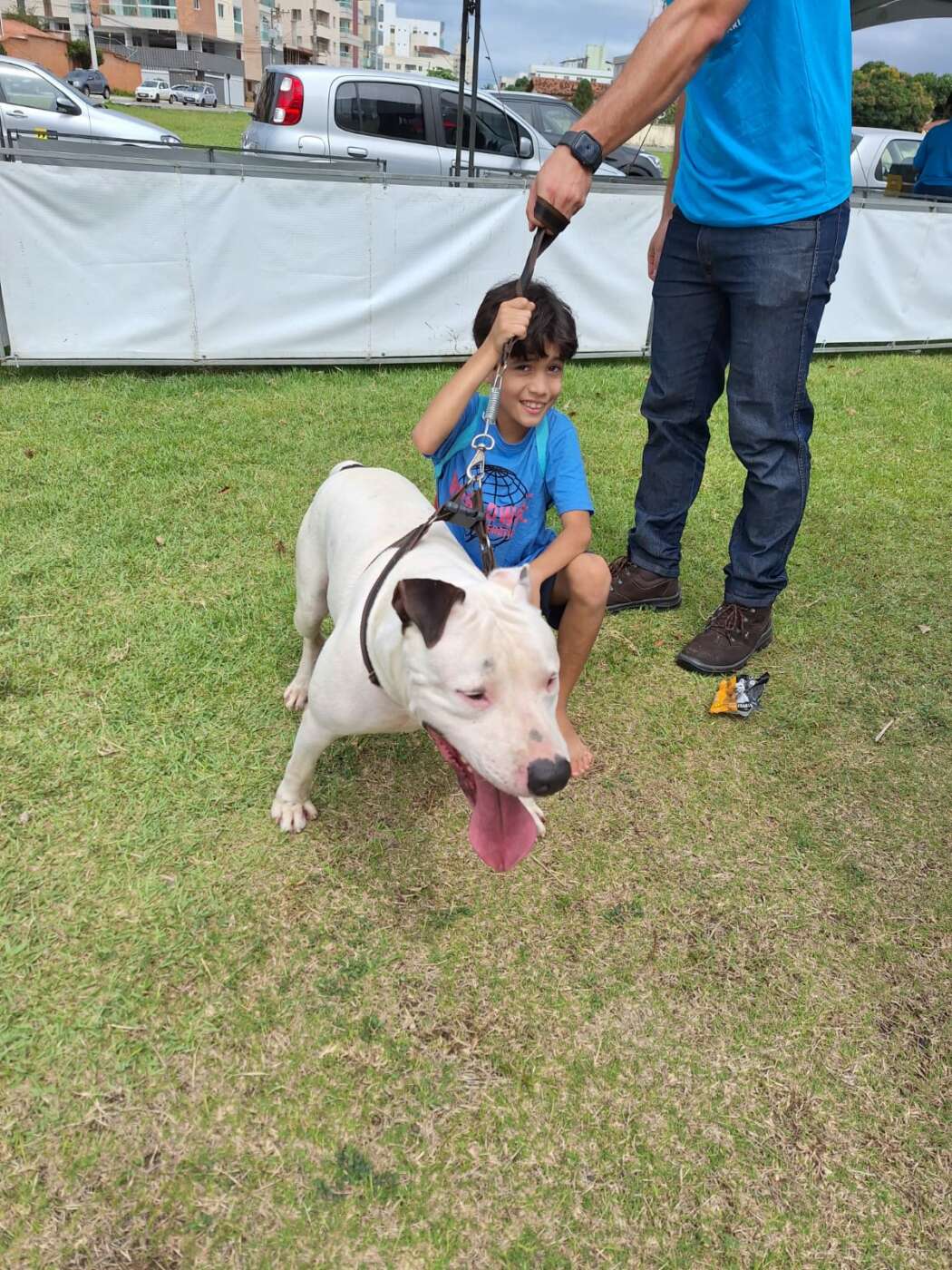 Festa da Cidade: 13 animais adotados e 200 vacinados na Ação Cidadã em Guarapari