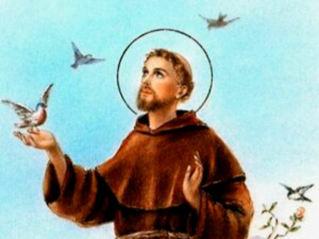 <i>Coluna Dom Antônio:</i> São Francisco de Assis, o santo protetor das aves e também de outros animais