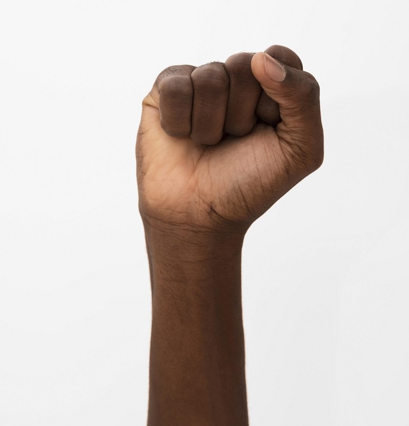 Artigo: Reflexões no Dia Nacional da Consciência Negra