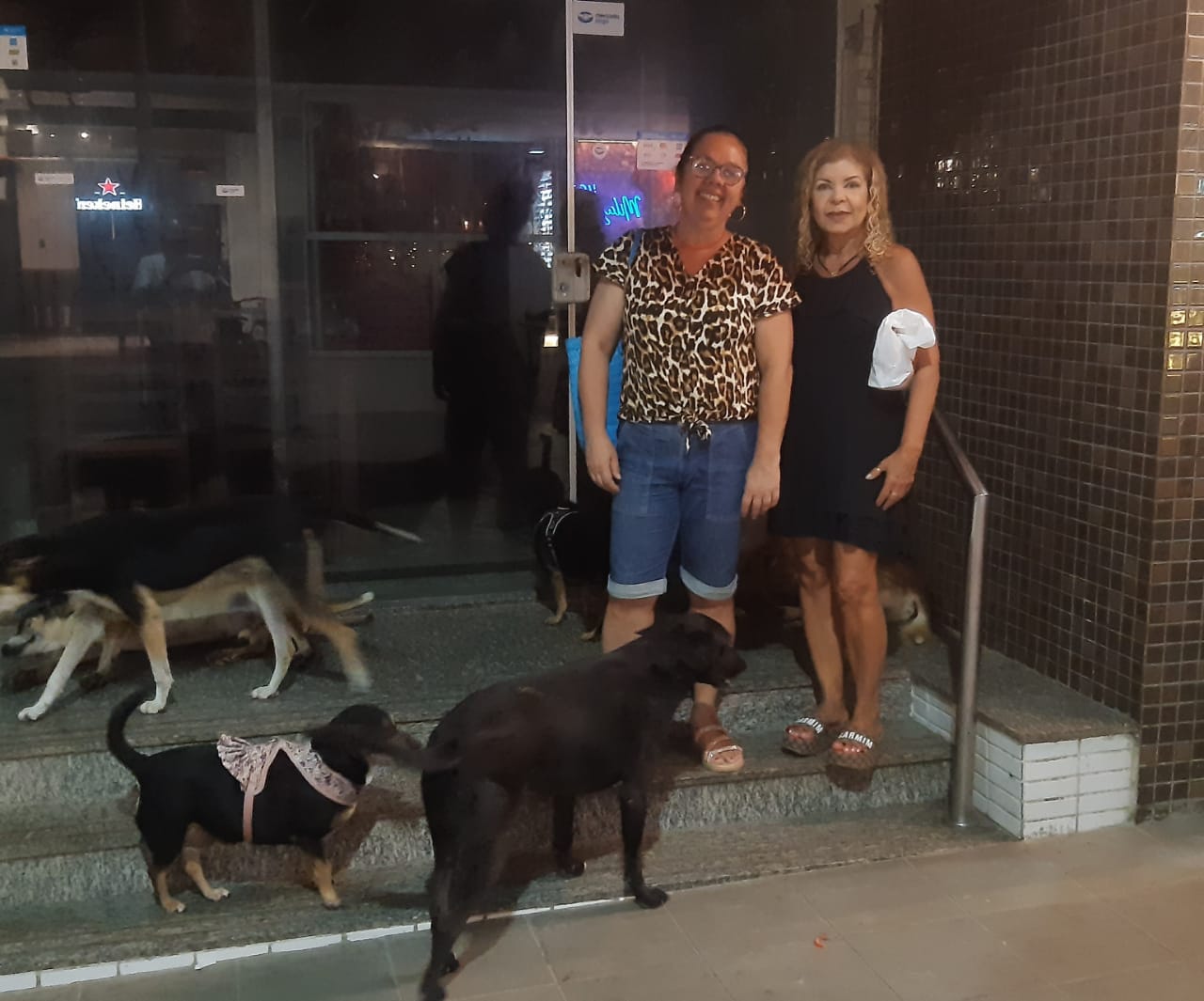 <i>Coluna Dom Antônio:</i> A mineira que dá comida aos cachorros de rua no Beco da Fome, em Guarapari