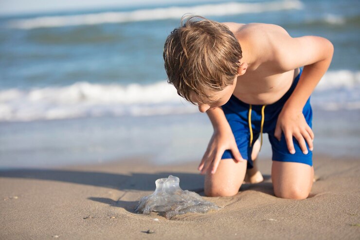 um menino perto do mar examina uma crianca de agua viva descansando na praia 186673 6401