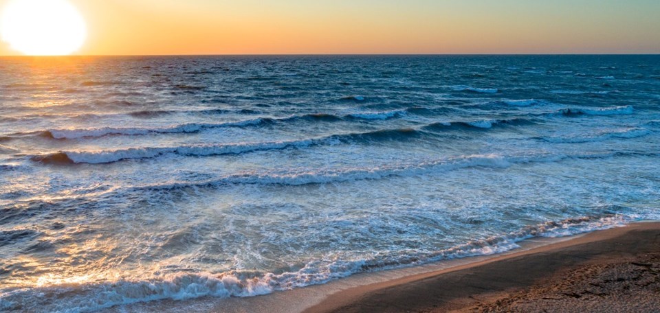 WhatsApp Image 2024 01 08 at 11.08.06