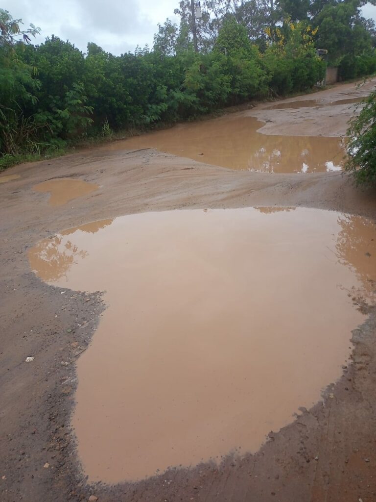 7ed5c5b5 f2ad 47ae a703 5a3b80991c38