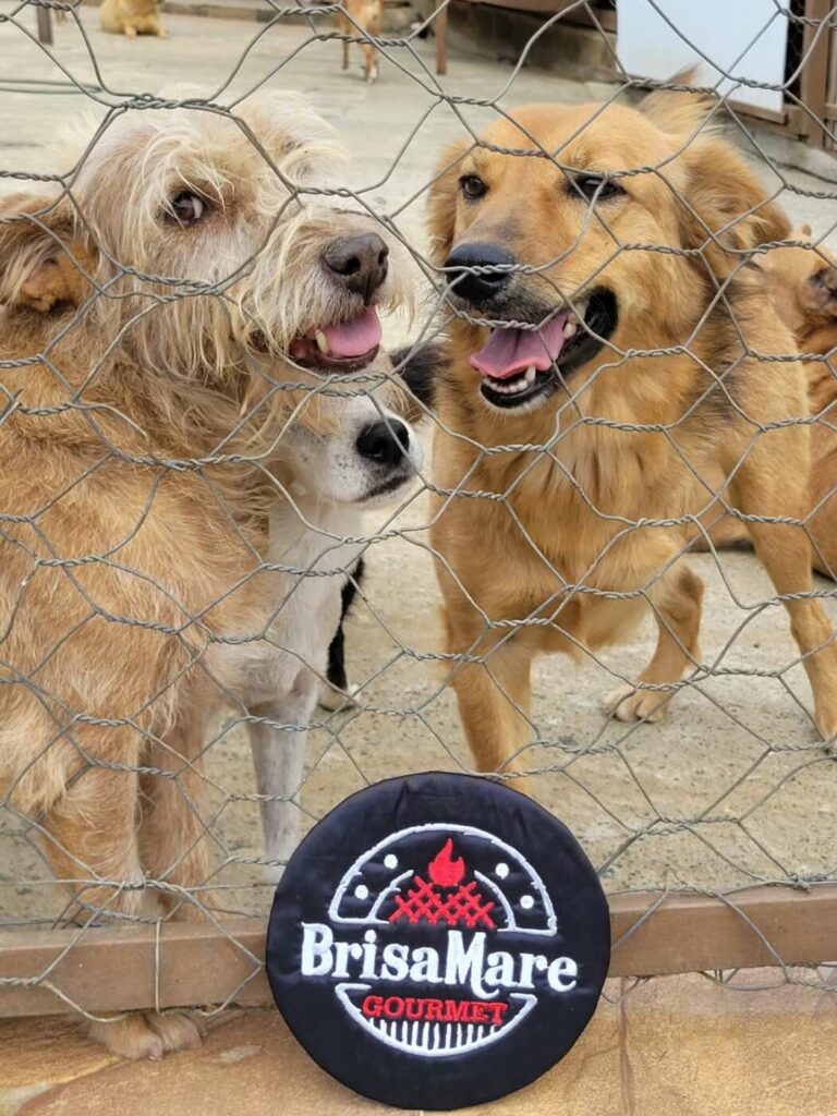 WhatsApp Image 2024 03 25 at 10.49.09