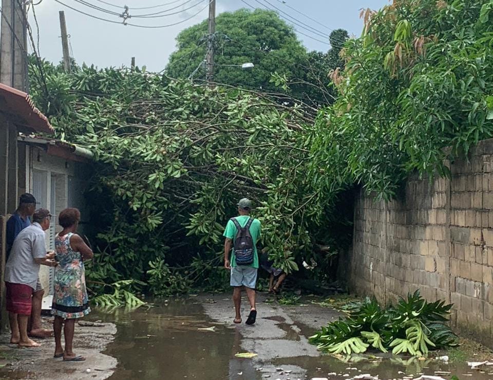 temporal limeira2 - Prefeitura de Anchieta calcula danos após forte temporal atingir comunidade do interior
