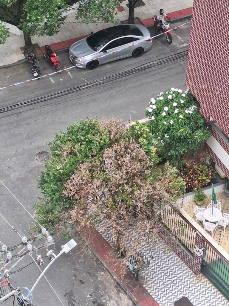 WhatsApp Image 2024 04 05 at 10.06.22 1