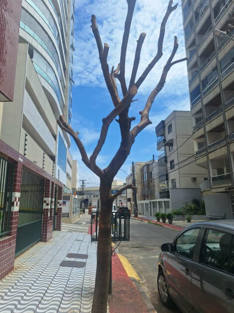 WhatsApp Image 2024 04 05 at 10.06.22