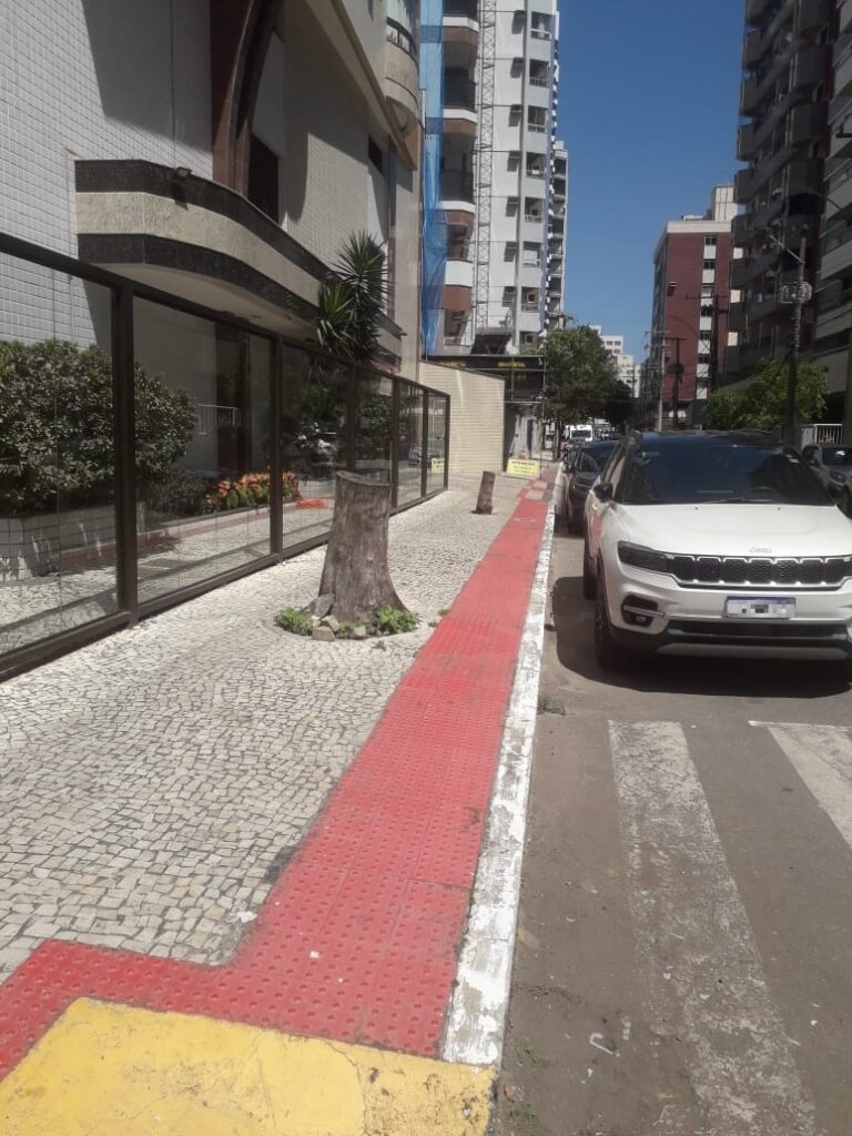 WhatsApp Image 2024 04 05 at 10.06.23 1 - <i>Coluna Dom Antônio:</i> Assassinato de árvores volta a acontecer em pleno Centro de Guarapari