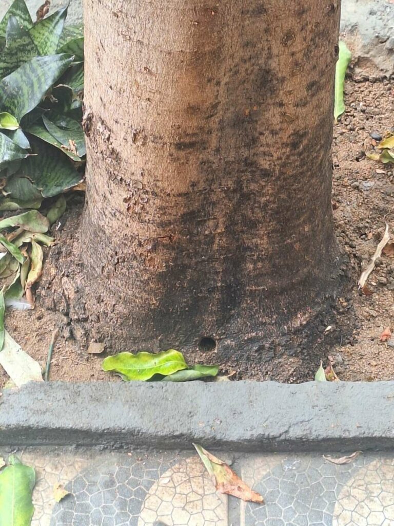 WhatsApp Image 2024 04 05 at 10.06.23