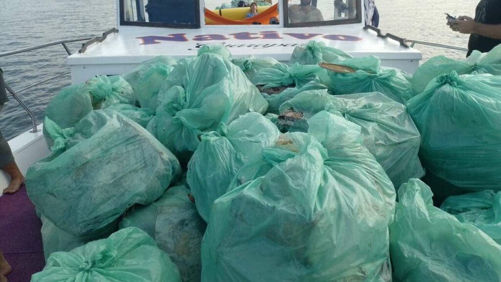 Mutirões retiraram mais de duas toneladas de lixo do manguezal de Guarapari 2 mutirao canal 30mai24 3