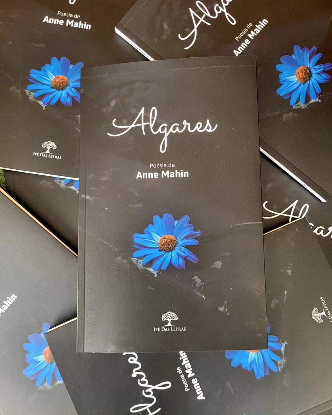 Algares: autora de Guarapari lança quarto livro de poesias da carreira neste sábado (13)