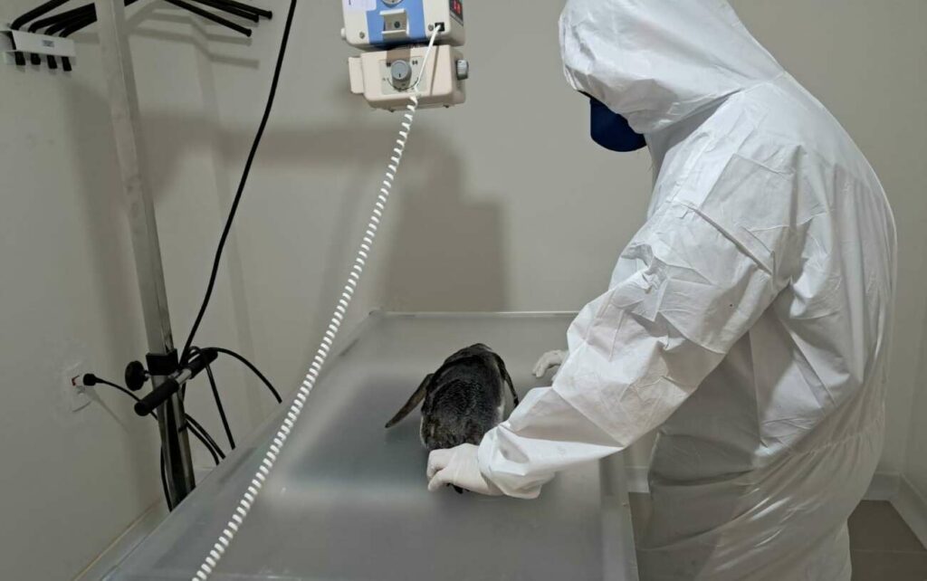 WhatsApp Image 2024 07 19 at 16.48.48