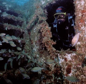 Presidente Lula sanciona lei que oficializa Guarapari como Capital da Biodiversidade Marinha