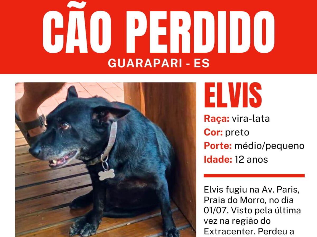 Cão de apoio emocional de menino autista desaparece em Guarapari e família faz apelo