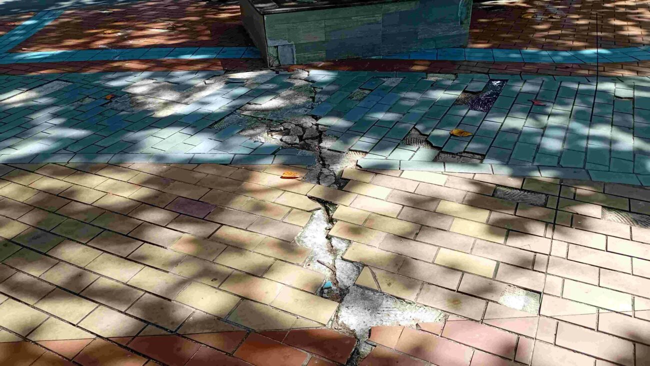 Revitalizacao orla 2