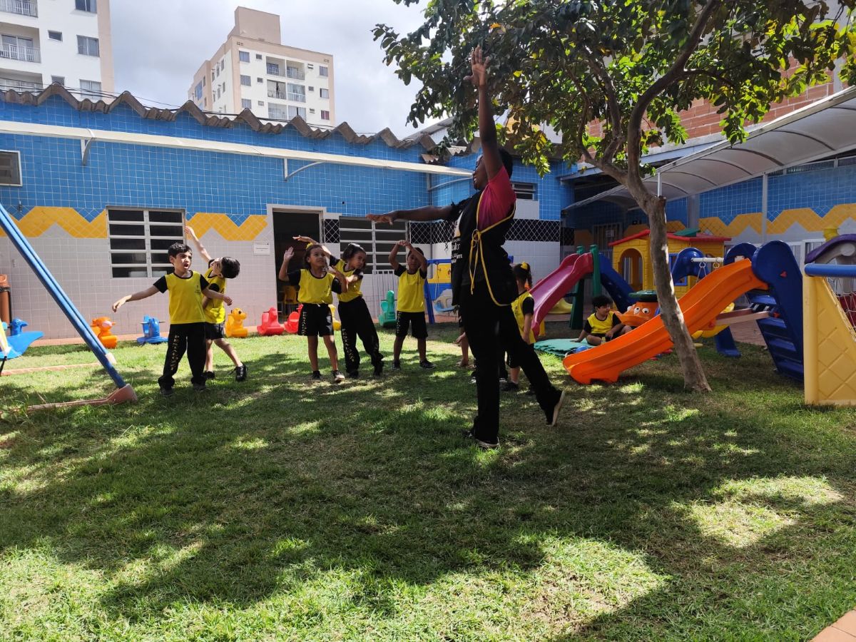 projeto girassol horizontal