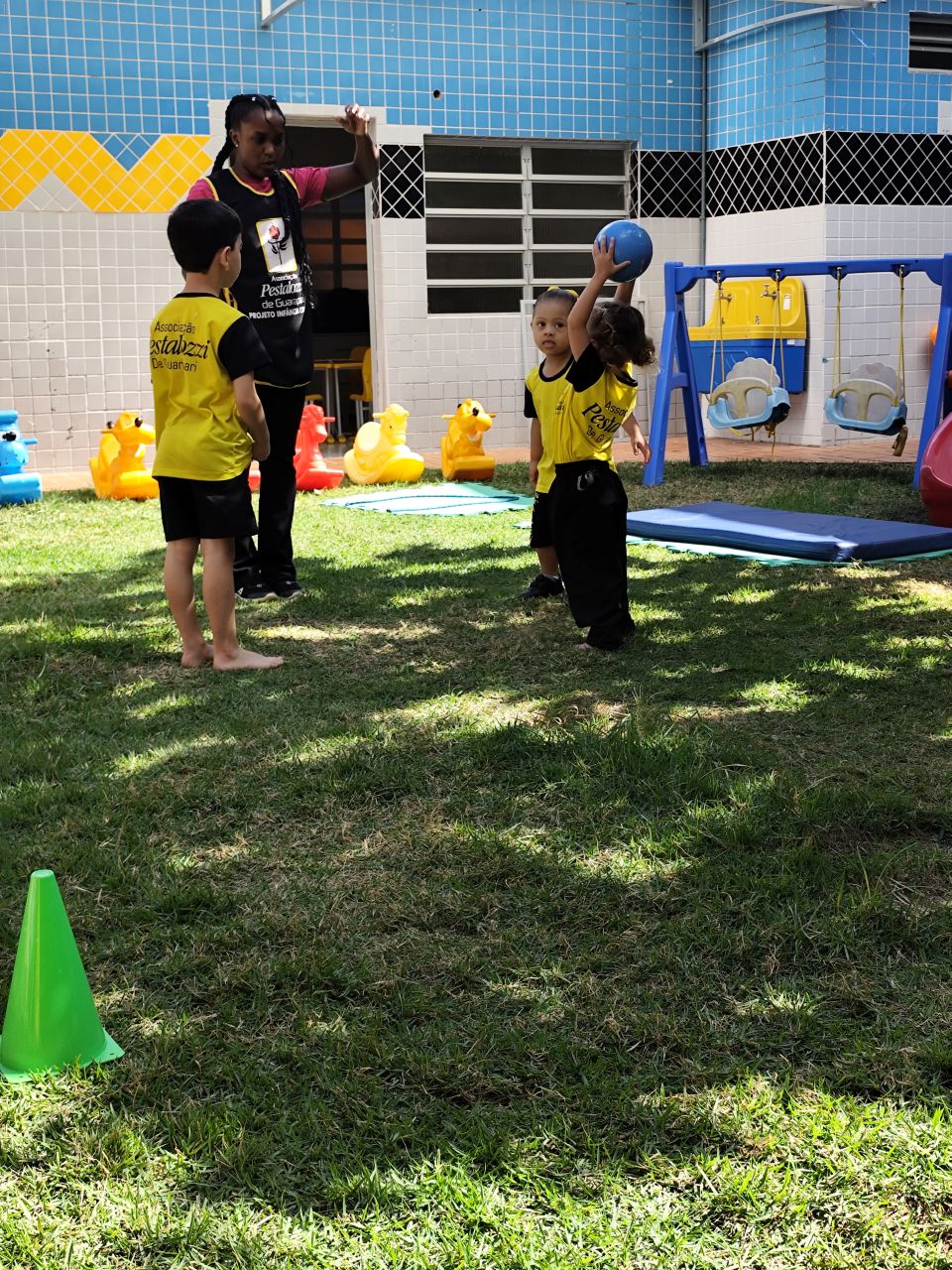 projeto girassol vertical 1