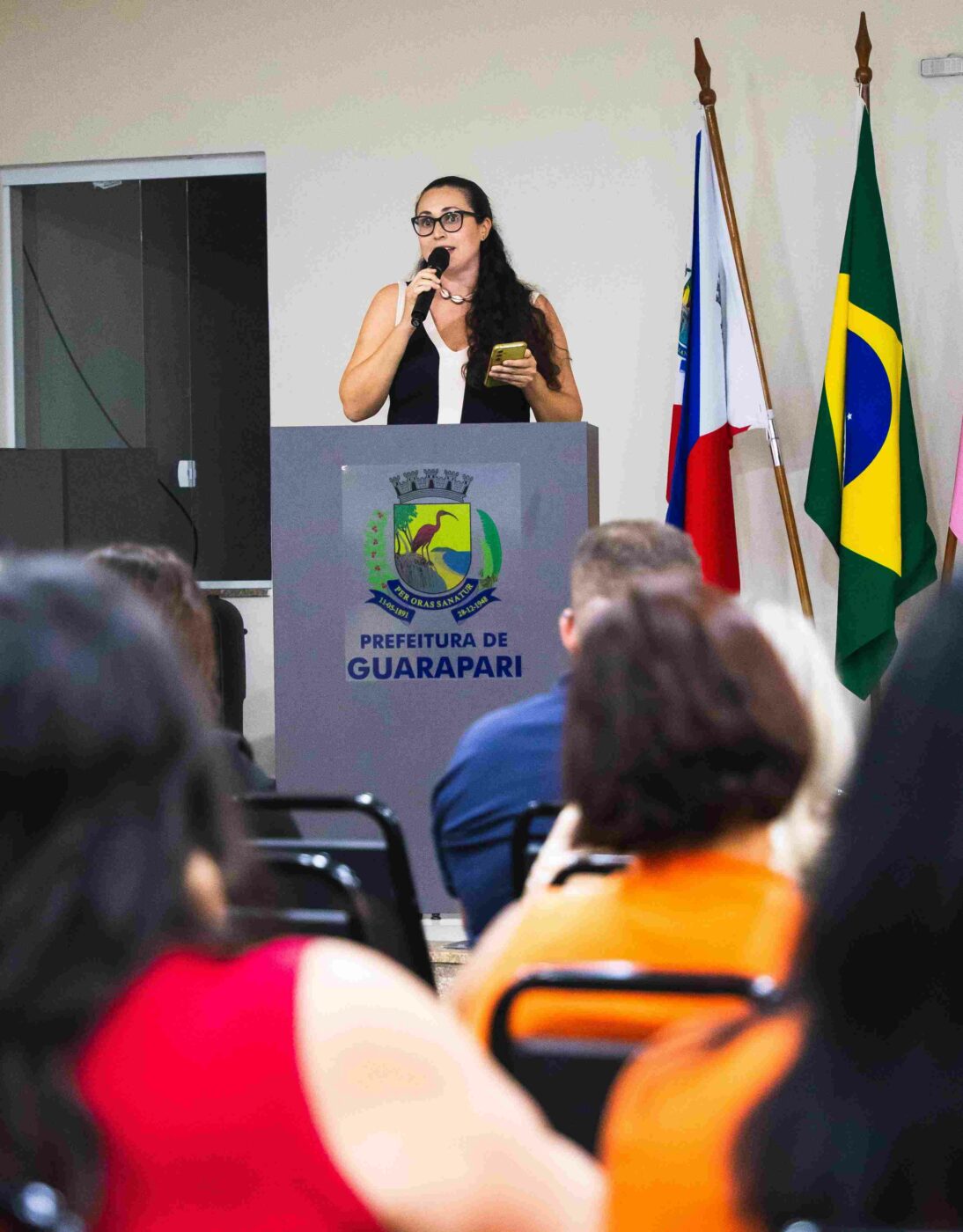 elevacao municipal 2 1