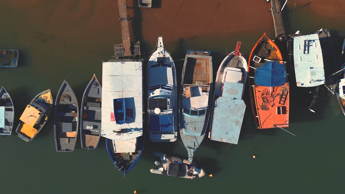 entre redes e mares 1