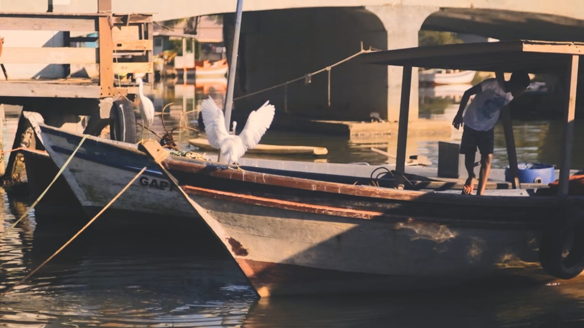 entre redes e mares 2