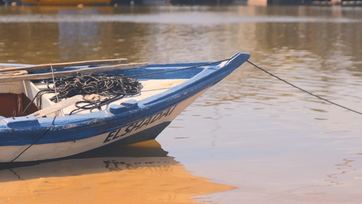 entre redes e mares 3