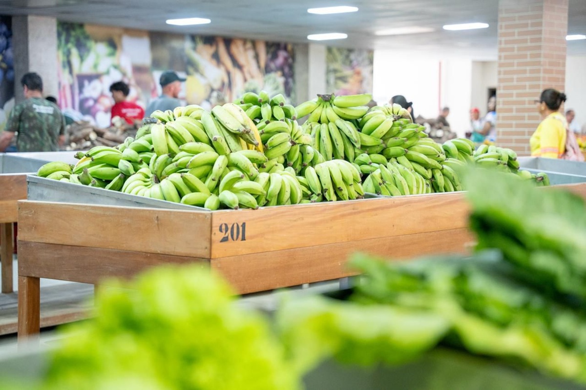 projeto cestas verdes 1