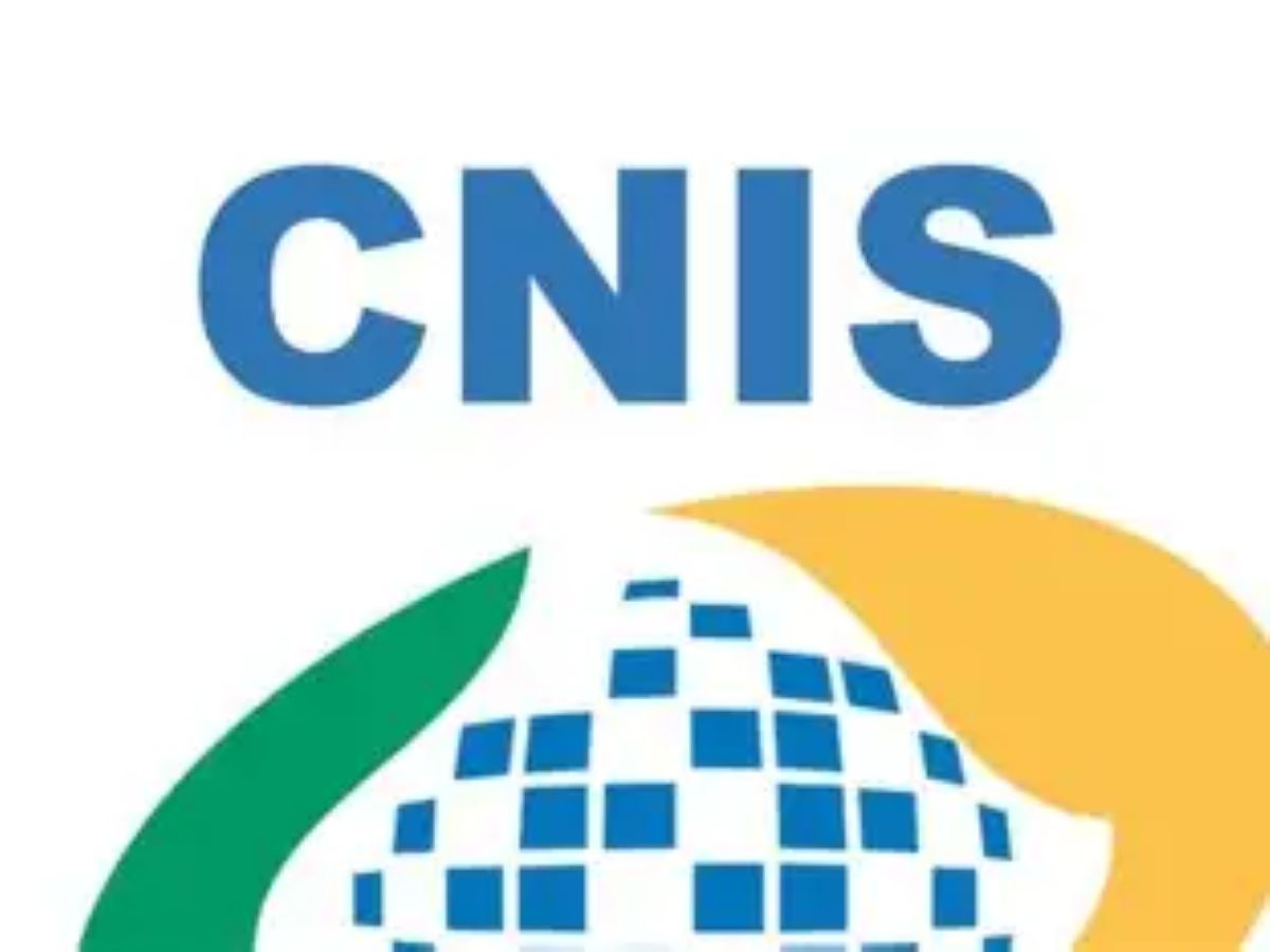 Coluna Entenda Direito: CNIS: o maior aliado do contribuinte do INSS 1 image