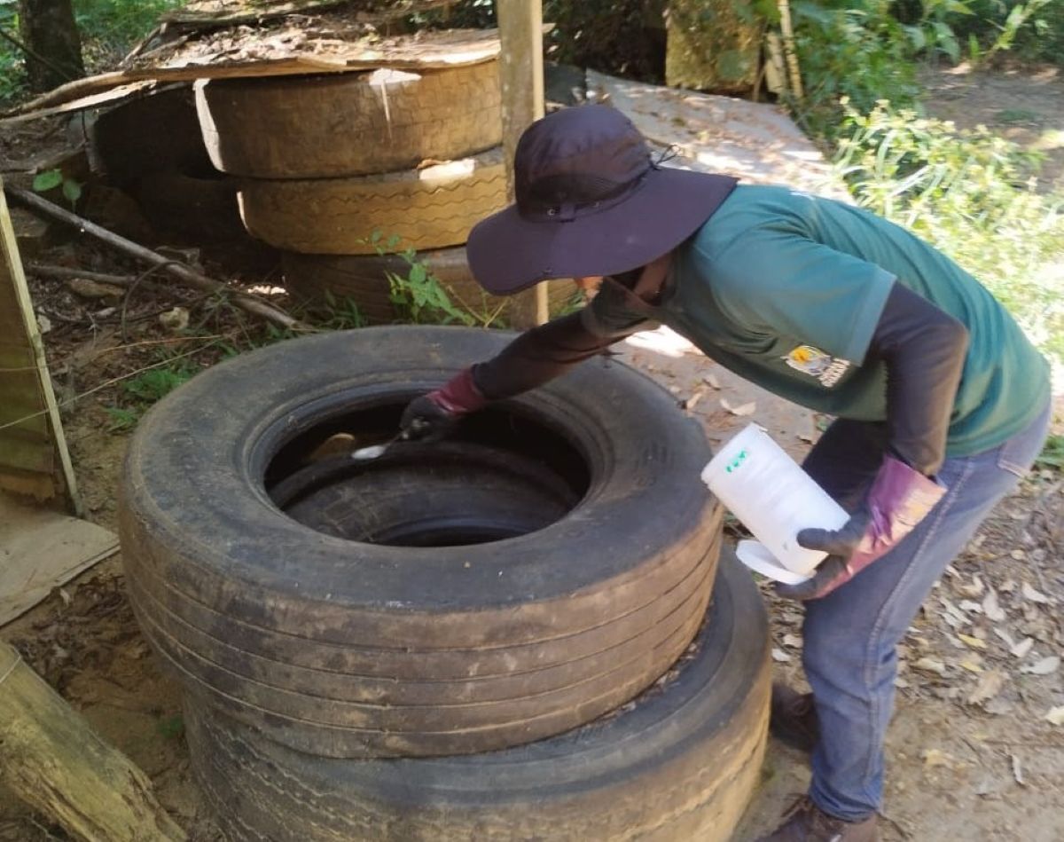 Guarapari promove "Dia D combate ao Aedes aegypti" neste sábado (6) 1 Aedes aegypti combate