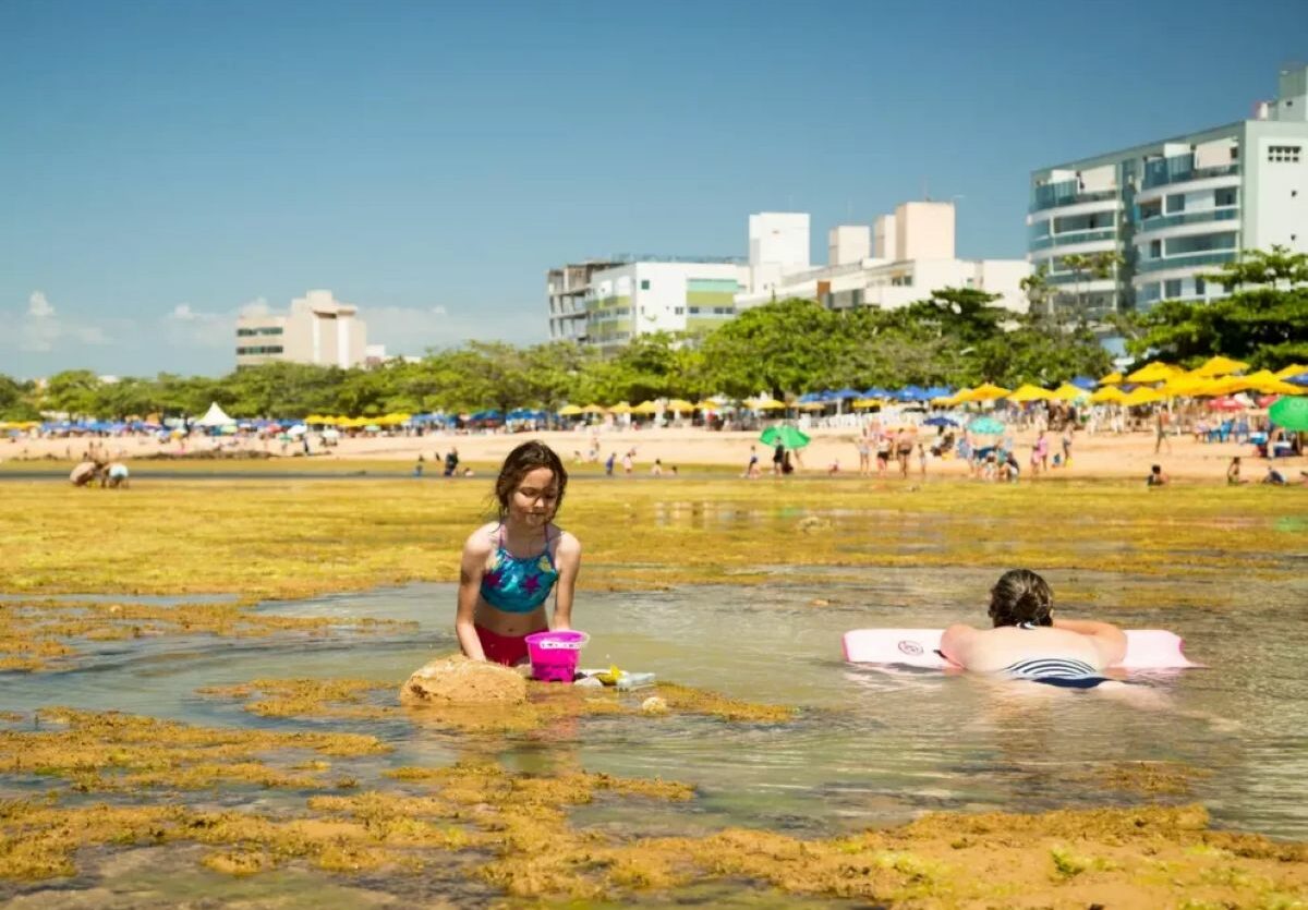 anjos da praia praia de castelhanos anchieta