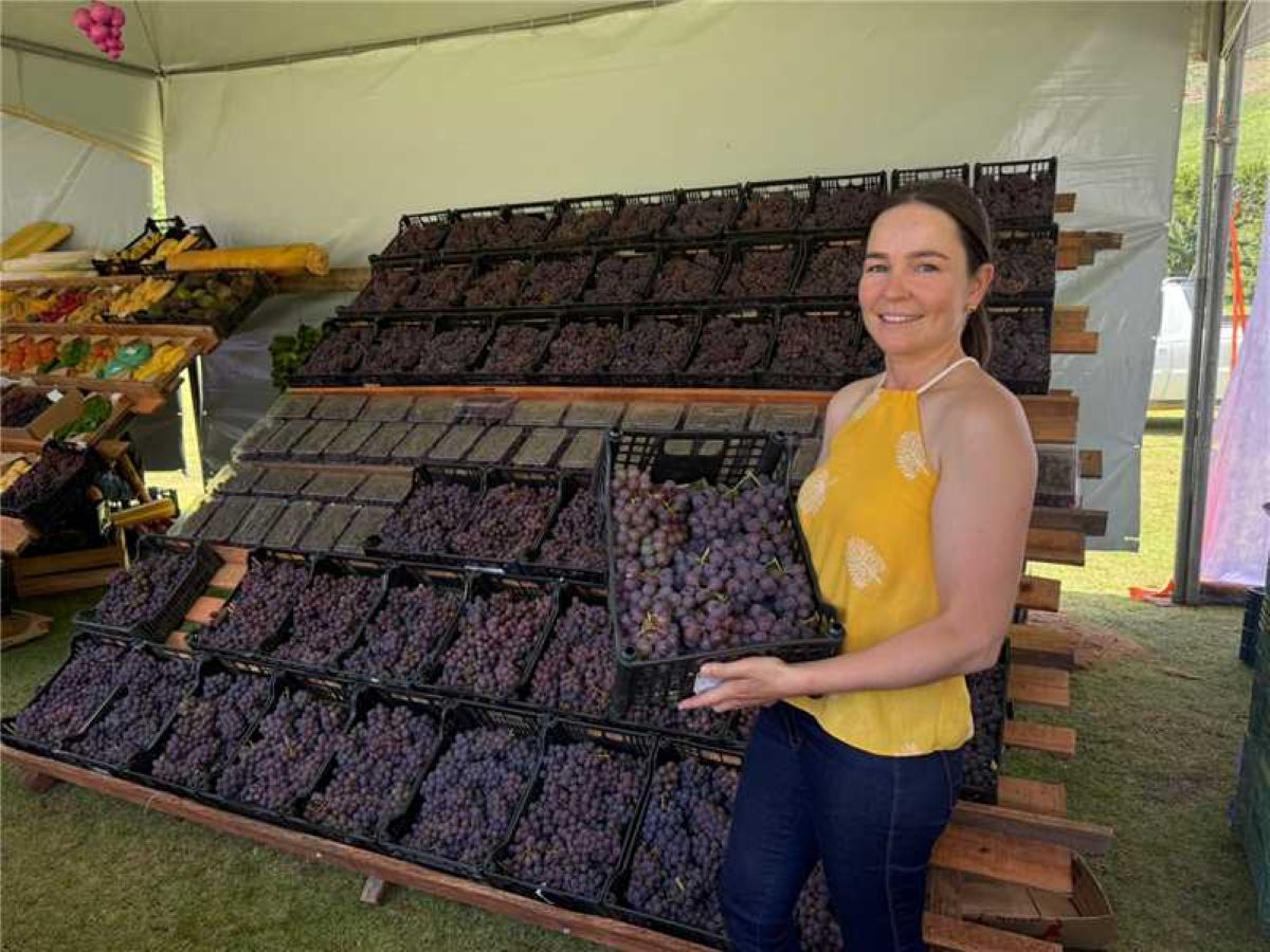 Alfredo Chaves recebe 60º Festival da Uva e do Vinho em março 1 Festival da Uva e do Vinho