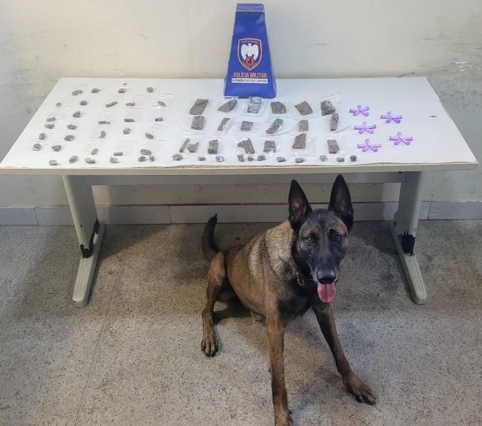 Operação Carnaval 2026: PM divulga balanço das ações em Guarapari 2 WhatsApp Image 2026 02 19 at 16.06.58 2