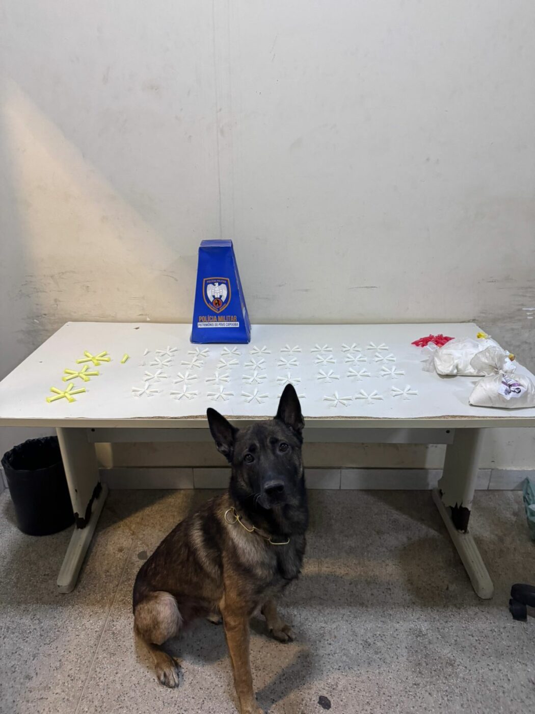 Operação Carnaval 2026: PM divulga balanço das ações em Guarapari 3 WhatsApp Image 2026 02 19 at 16.06.59 1