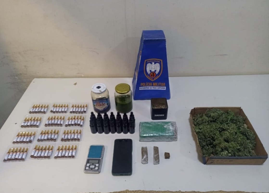 Pés de maconha são apreendidos pela PM em Guarapari; carro também foi recuperado 2 maconha 1