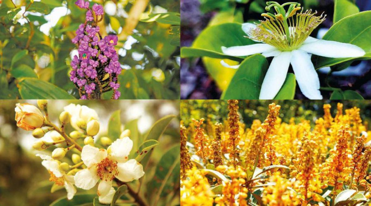 Oficina de fotografia em Vila Velha promove exposição aberta ao público 1