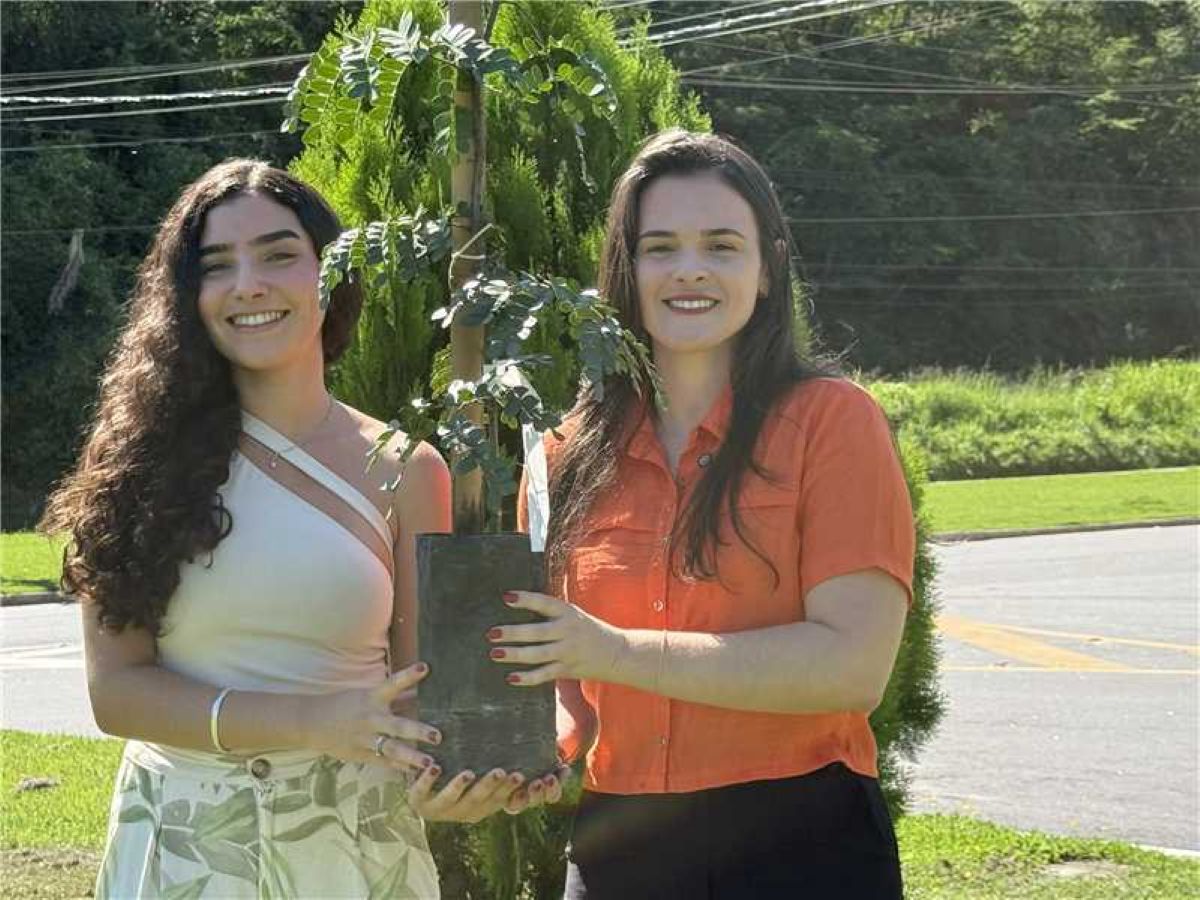 Alfredo Chaves lança projeto de arborização urbana e convida moradores a participarem 1 Arborizacao Urbana Alfredo chaves mudas arvores plantio