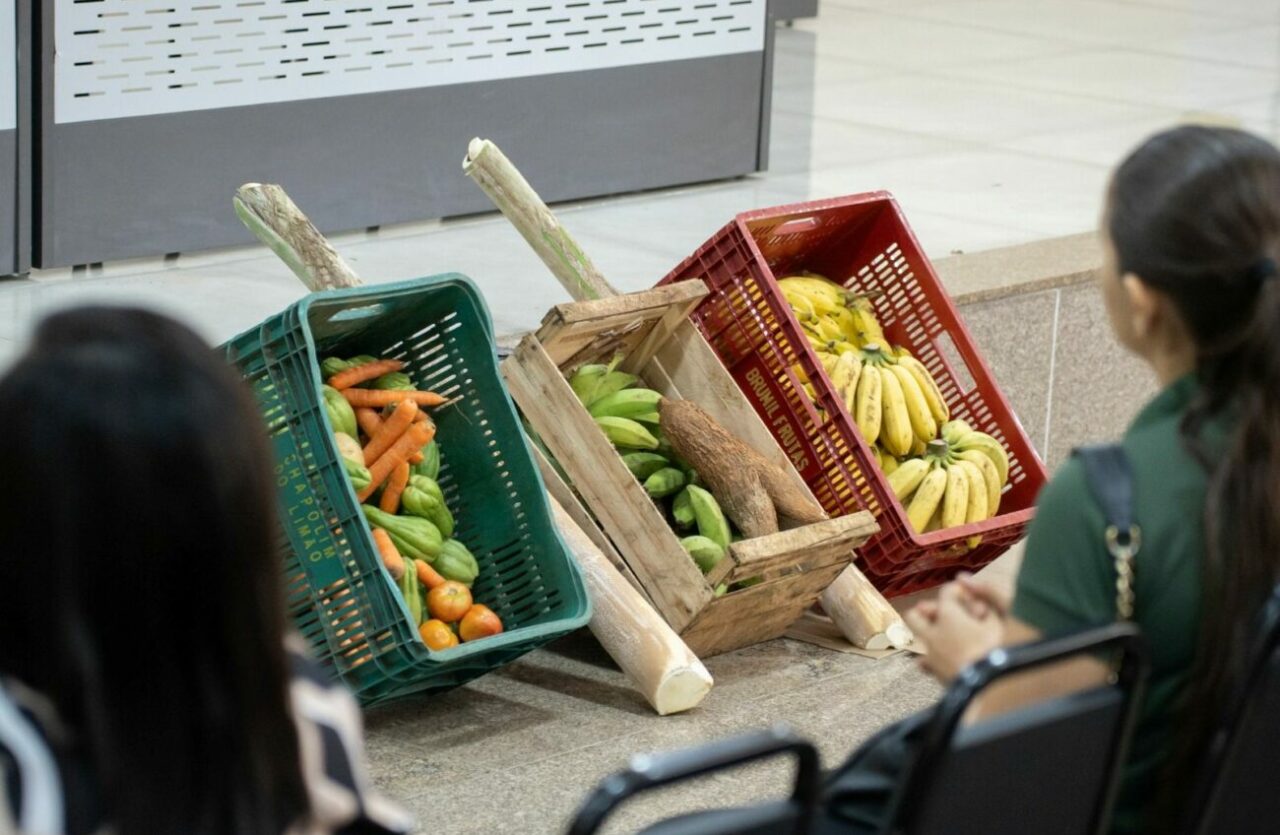 WhatsApp Image 2026 03 03 at 14.55.19