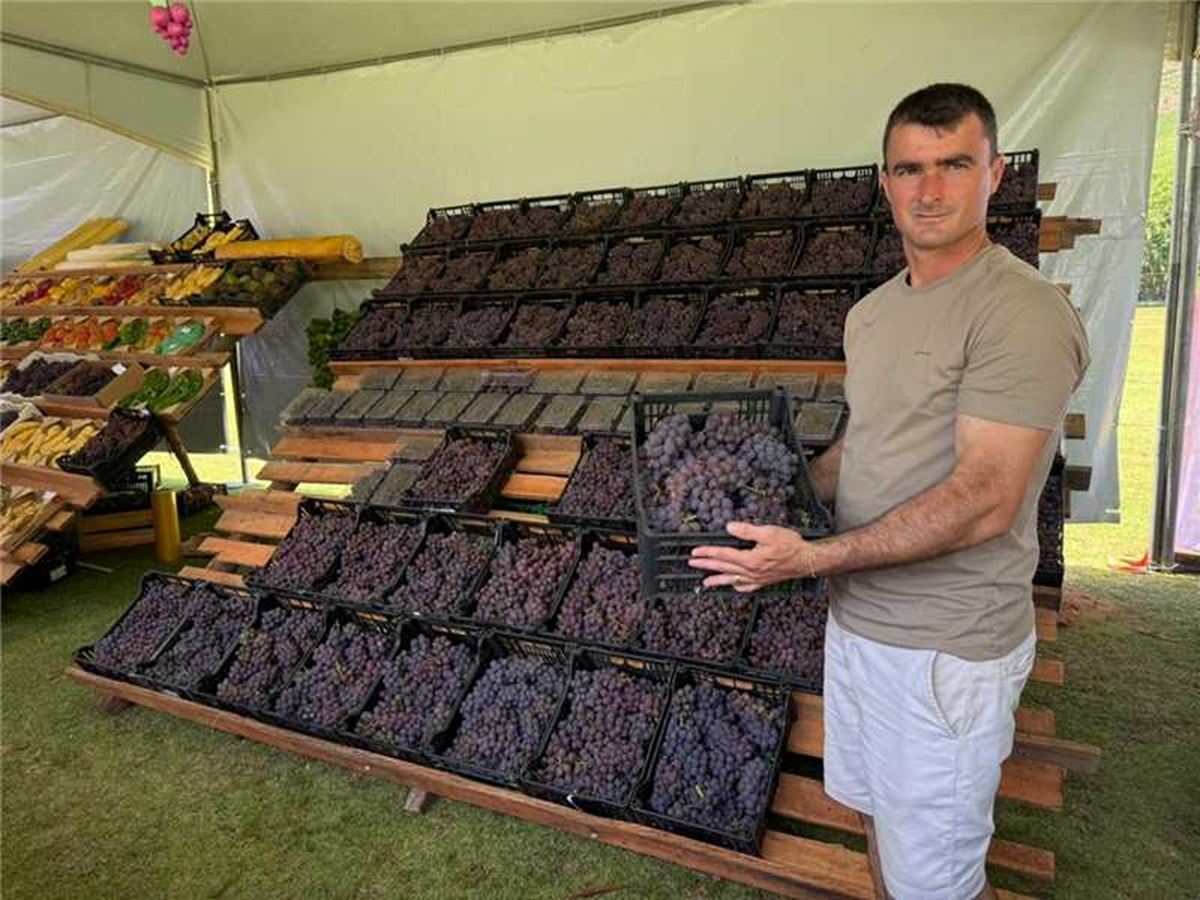 Fim de semana será de Festival da Uva e do Vinho em Alfredo Chaves 1 capa festival da uva alfredo