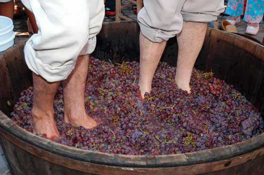 Fim de semana será de Festival da Uva e do Vinho em Alfredo Chaves 2 pisa da uva festival da uva alfredo