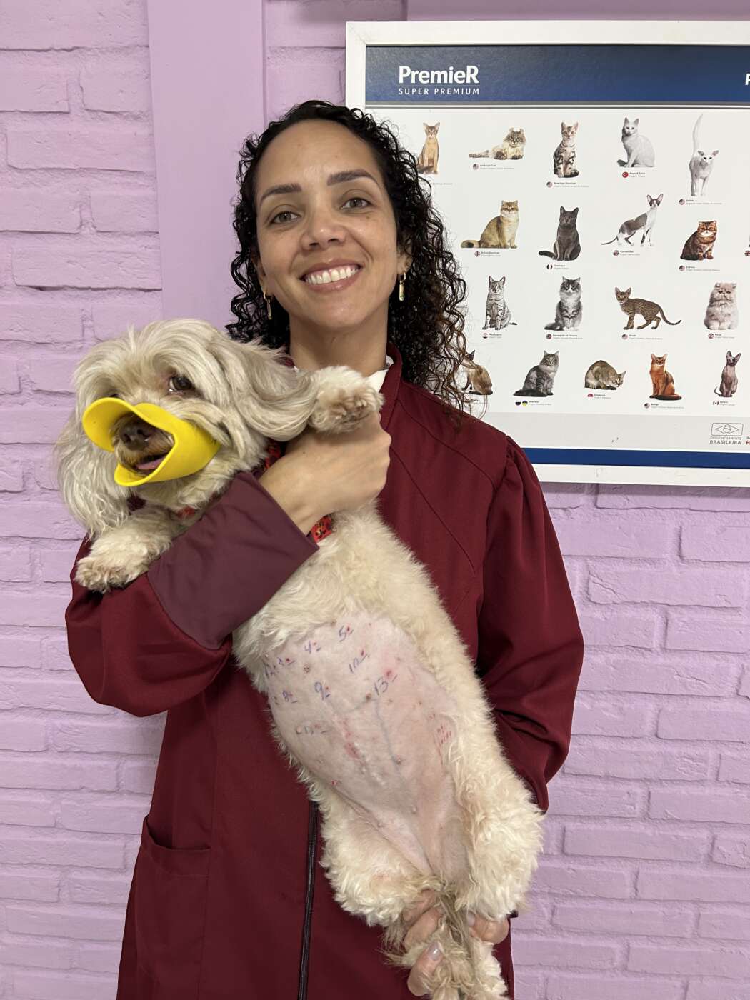Pet de adoção: mitos e verdades sobre imunidade e alergia 2 marcela cevet